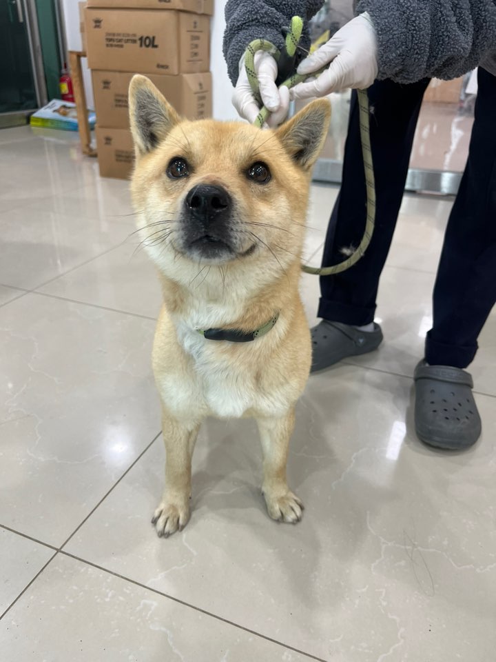 반려동물보호센터_443571202400176